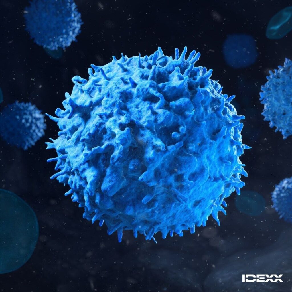 IDEXX Announces Groundbreaking Cancer Dx Panel with Affordable Early Detection Test for Canine