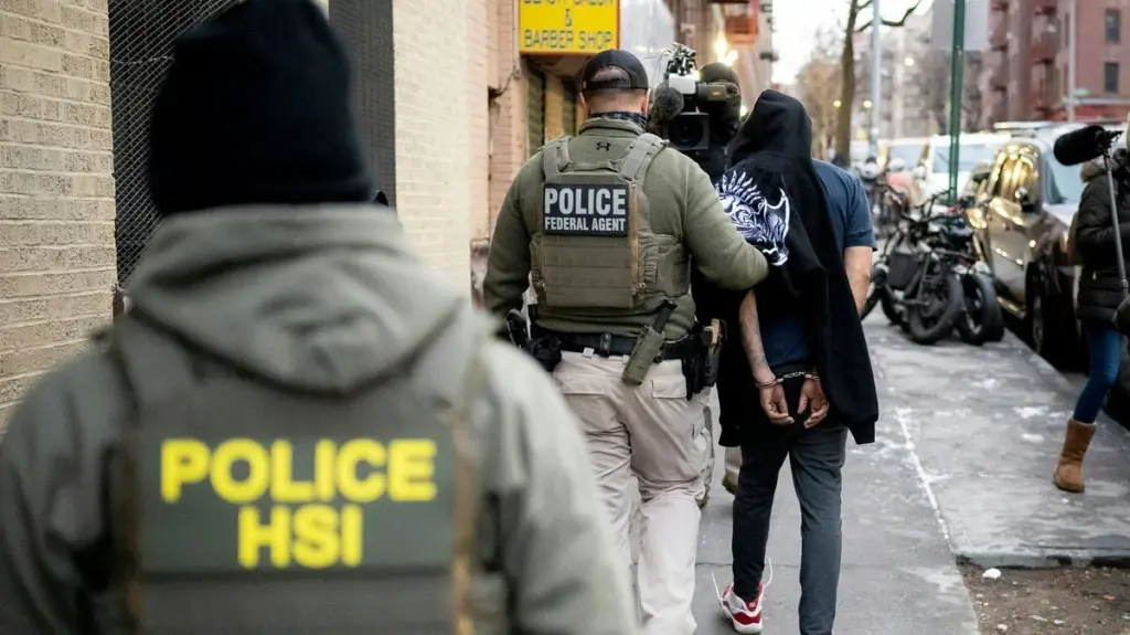 Cattaraugus Co. sheriff among those suing NYS over ICE policy law - Olean Times Herald