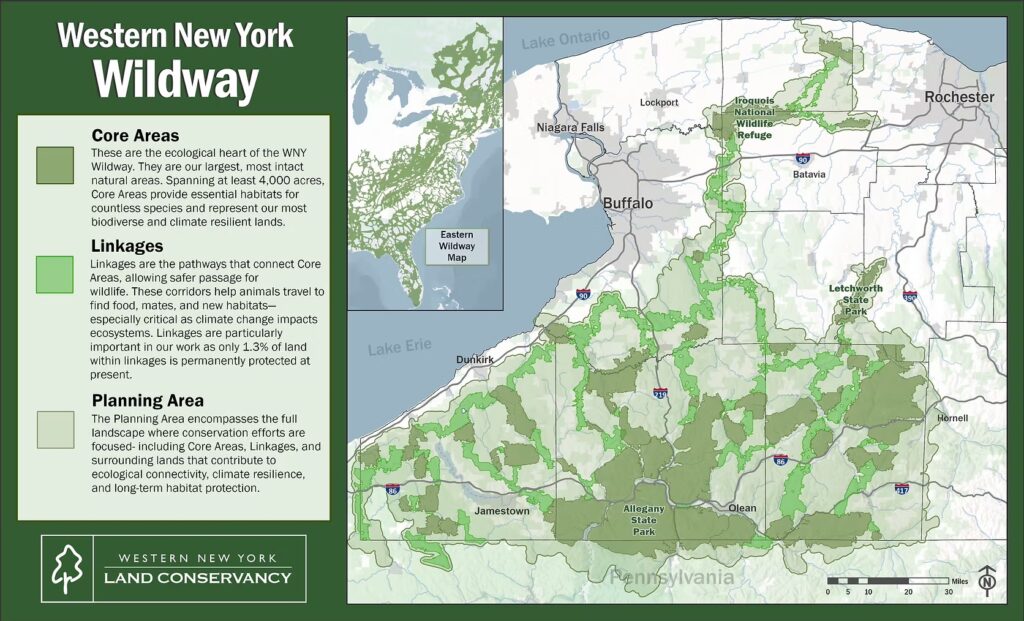 Wildlife corridor plan seeks to link protected lands from Lake Ontario to So. Tier