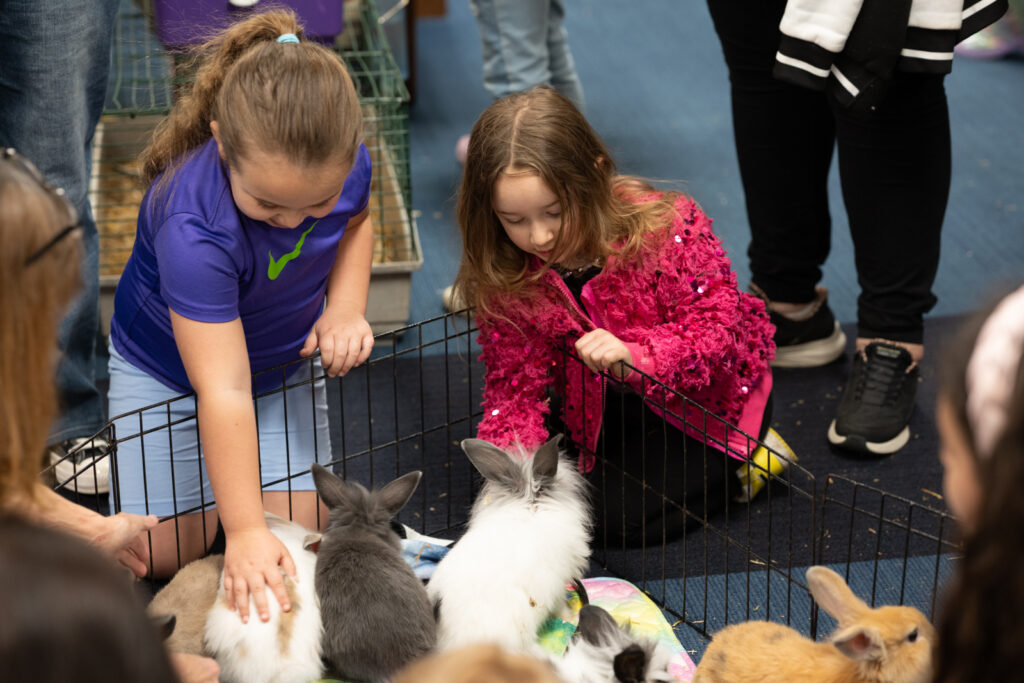 Our military has been driven into a crisis - Olean Times Herald