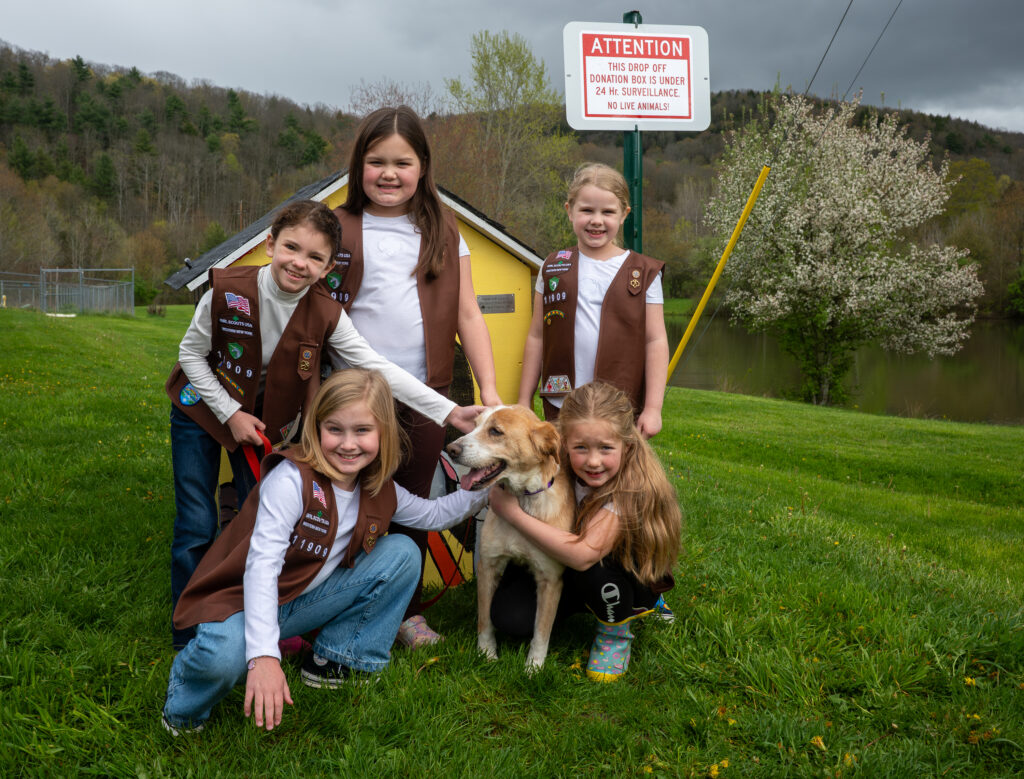 Allegany Girl Scouts build donation box for SPCA