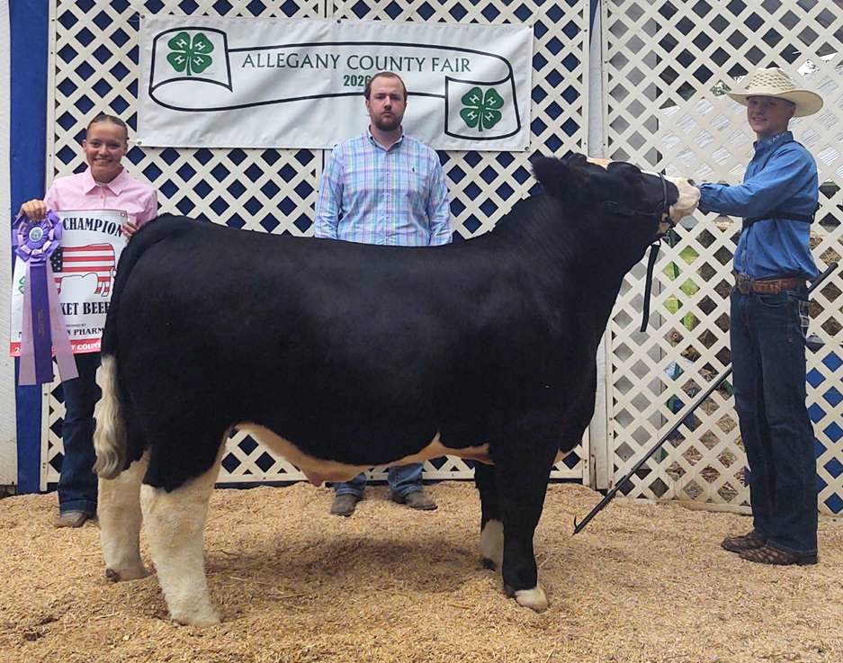 Blue Ribbon Champion Beef Exhibited Allegany County Fair