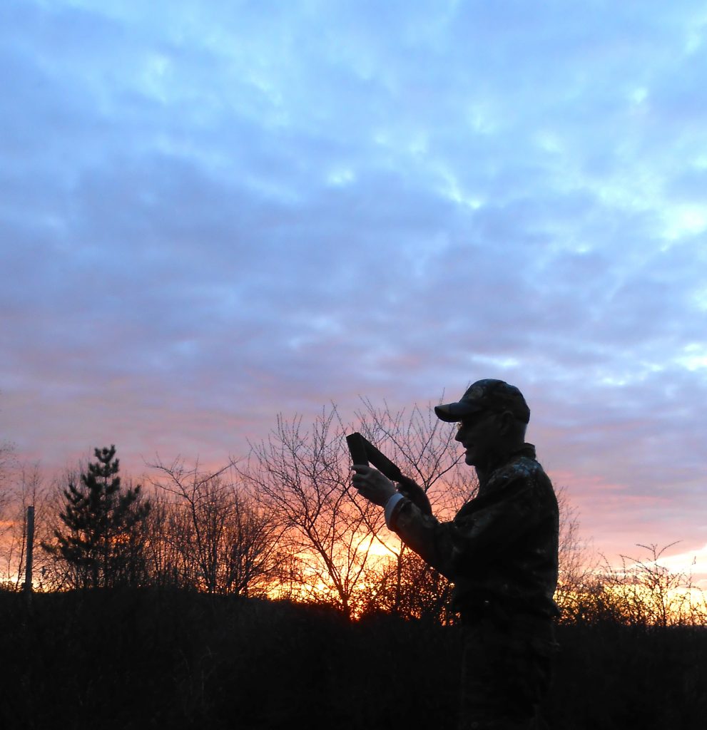 Outdoors: The glories of summer - Olean Times Herald