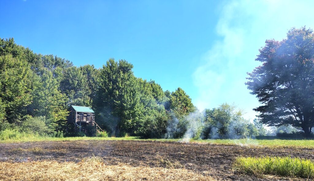 Outdoors: Controlled burning can improve food plots - Olean Times Herald