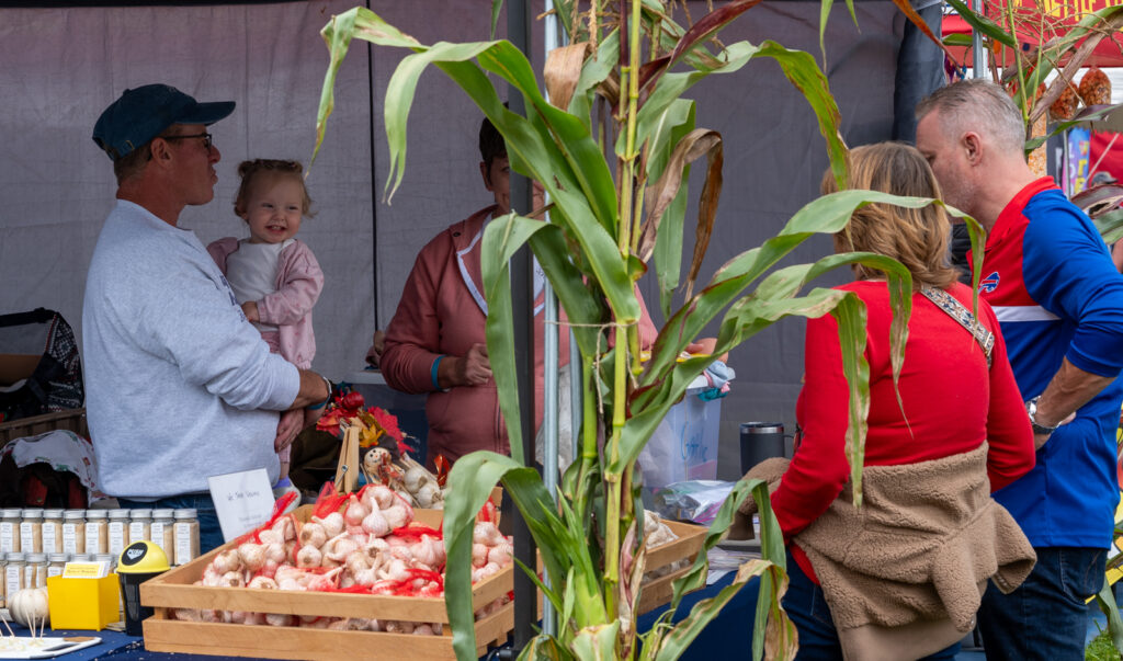 Scenes from Cuba Garlic Festival